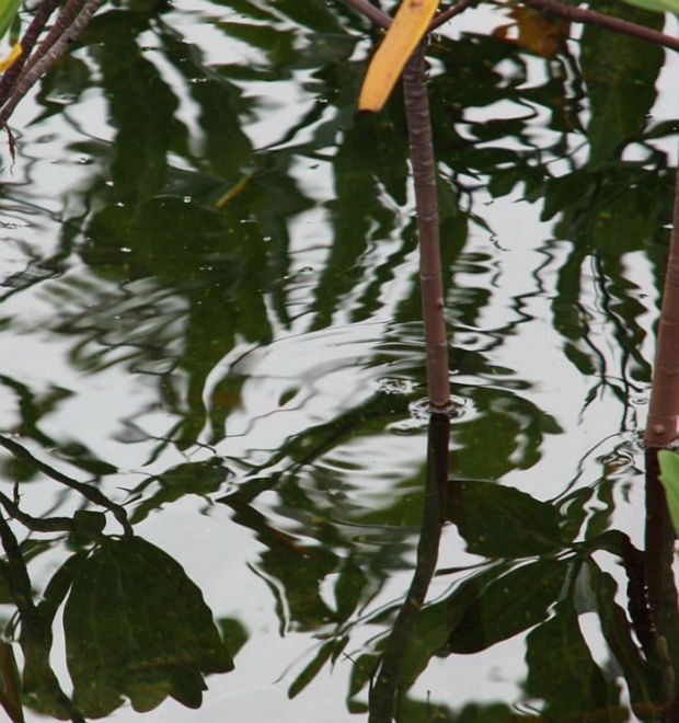 Photographie: ph_05.jpg