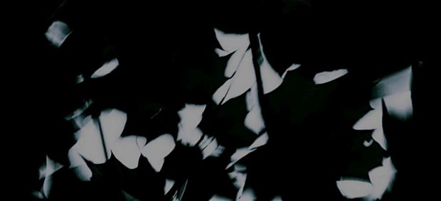 Photographie: ph_08.jpg