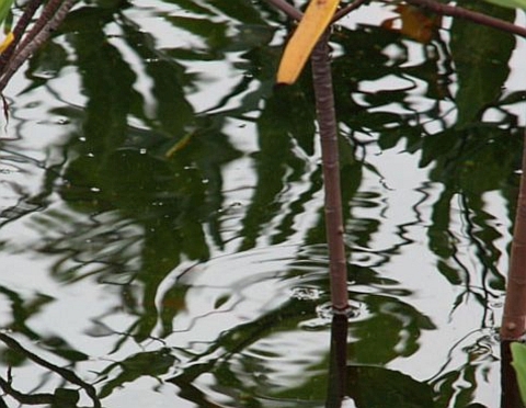 Galerie - Photographie